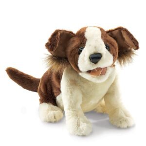 TITERE LUCKY DOG